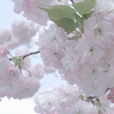 Furry绘画避坑指南FurryQQ群